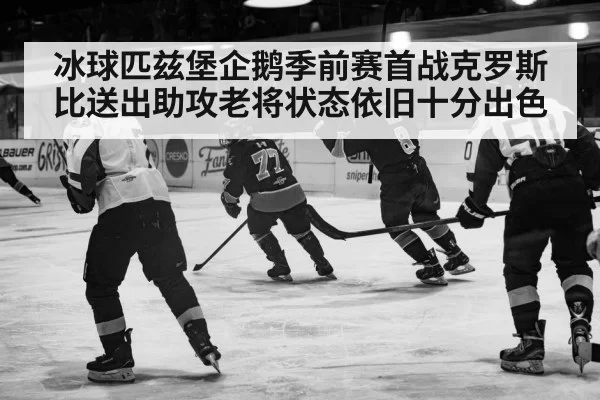 冰球匹兹堡企鹅季前赛首战克罗斯比送出助攻老将状态依旧十分出色
